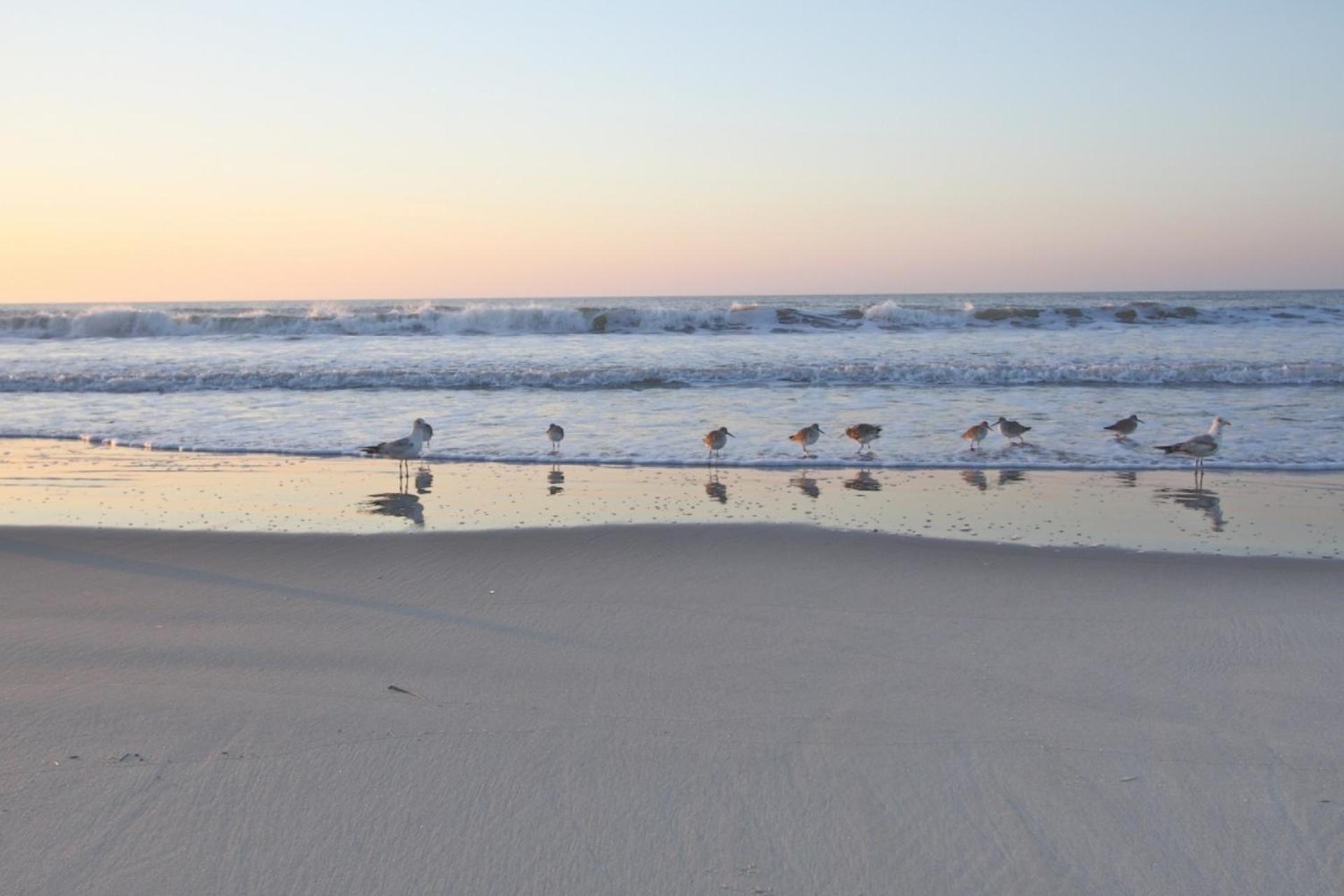 Just Beachy Villa Isle of Palms Luaran gambar